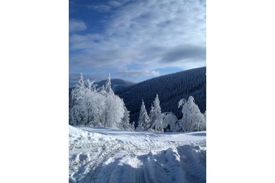 Fotosoutěž: Taková byla zima u nás