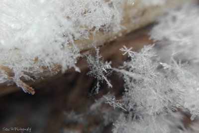 Fotosoutěž: Taková byla zima u nás