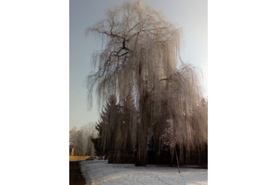 Fotosoutěž: Taková byla zima u nás