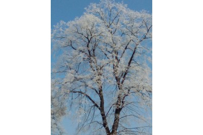 Fotosoutěž: Taková byla zima u nás