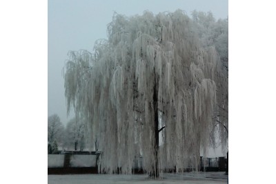 Fotosoutěž: Taková byla zima u nás