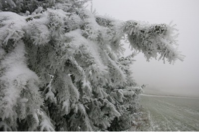 Fotosoutěž: Taková byla zima u nás