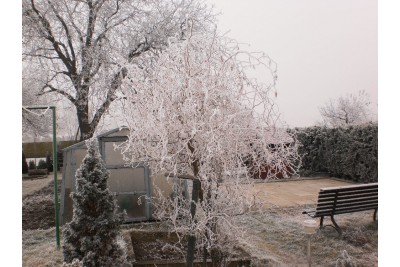 Fotosoutěž: Taková byla zima u nás