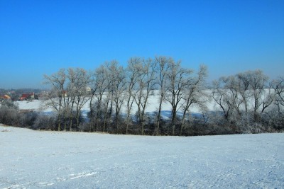 Fotosoutěž: Taková byla zima u nás