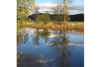 Fotosoutěž: Zima končí - máme jaro v Olomouckém kraji