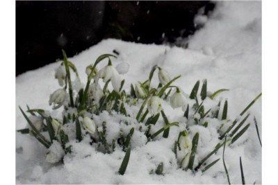 Fotosoutěž: Zima končí - máme jaro v Olomouckém kraji