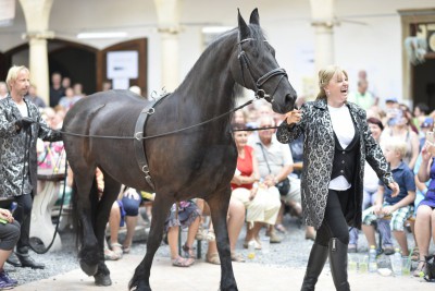 Proběhly 15. Hustopečské dny. Za účasti hejtmana Ladislava Oklešťka 