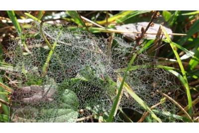 Fotosoutěž: Co děláme na podzim