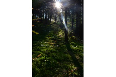 Fotosoutěž: Co děláme na podzim