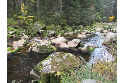 Fotosoutěž: Co děláme na podzim