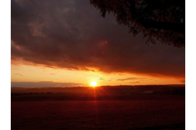 Fotosoutěž: Co děláme na podzim