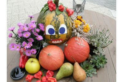 Fotosoutěž: Co děláme na podzim