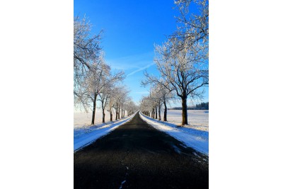 Fotosoutěž - Nejkrásnější období roku