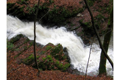 Fotosoutěž - Nejkrásnější období roku