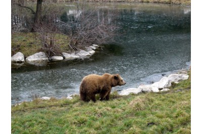 Fotosoutěž - Nejkrásnější období roku