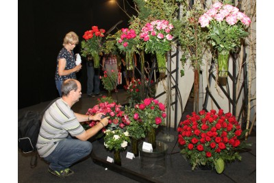 Zahájení letní etapy výstavy Flora Olomouc