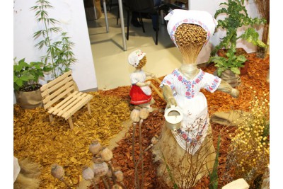 Letní Flora Olomouc připomíná krásy české krajiny