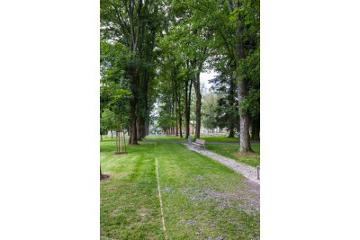 Léčebný ústav má nový park. Voní květinami a umí zahnat stres