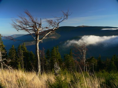 Praděd mountain in Jeseníky Mountains