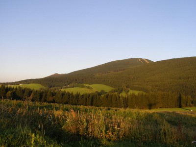 Ptačí oblast Jeseníky, vrchol Šeráku od obce Ostružná