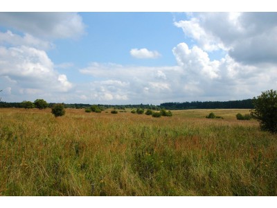 Libavá, náhorní plošina dosahuje nadmořské výšky 600 m n. m.