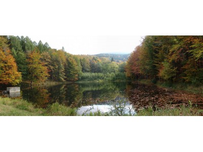 Zlaté Hory – pohled na přírodní památku Černé jezero