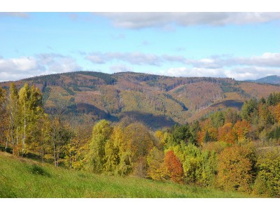 Hadce  a bučiny u Raškova, celkový pohled na lokalitu