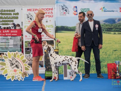 Národní výstava psů Floracanis Olomouc