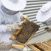 Včelaři mohou počítat s další podporou