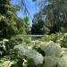Arboretum nabízí chladivou oázu i historii zemědělství na Hané