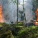 Kraj ukončil období zvýšeného nebezpečí vzniku požárů