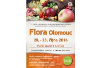 FLORA OLOMOUC 2016, podzimní etapa