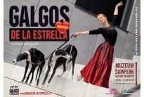 Galgos de la Estrella 