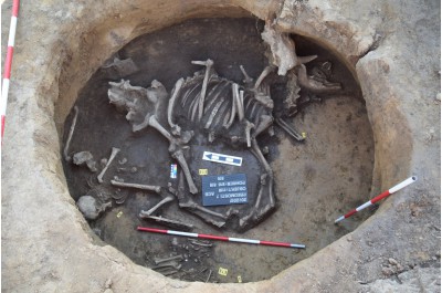 Podivné hroby, vzácné šperky a mince. Archeologové odkryli překvapivé nálezy Foto: Archeologické centrum Olomouc