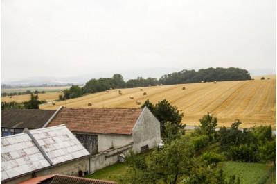 Sociální byty i opravená silnice. V Plinkoutě se investice daří