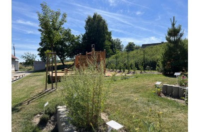 Arboretum nabízí chladivou oázu i historii zemědělství na Hané