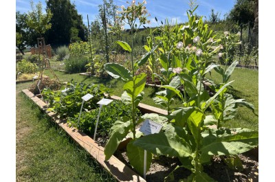 Arboretum nabízí chladivou oázu i historii zemědělství na Hané