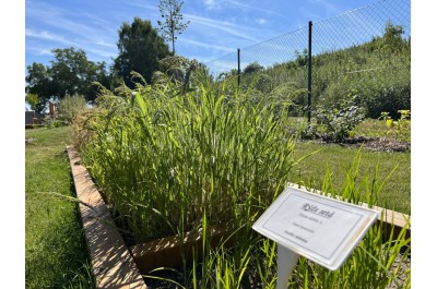 Arboretum nabízí chladivou oázu i historii zemědělství na Hané