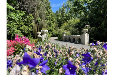 Arboretum nabízí chladivou oázu i historii zemědělství na Hané