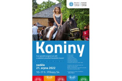 Koniny