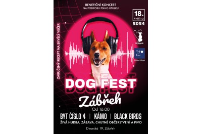 Dog Fest