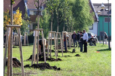 img-1948.jpg