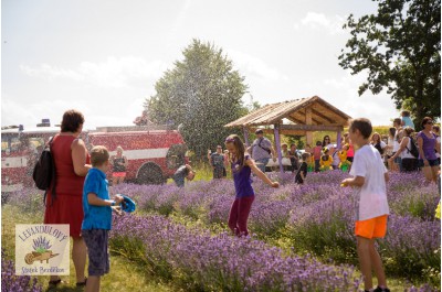 V Bezděkově u Úsova proběhl historicky první levandulový festival v ČR