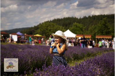 V Bezděkově u Úsova proběhl historicky první levandulový festival v ČR