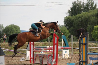 Závod koní každoročně pomáhá handicapovaným