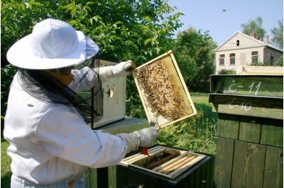 Krajské podpory se nově dočkají i zkušení včelaři