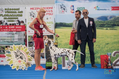 Národní výstava psů Floracanis Olomouc