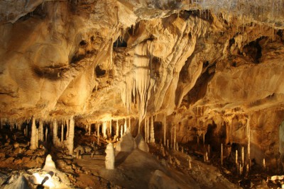 m-ark-javoricske-jeskyne-12.jpg