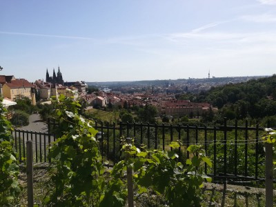 Fotografie - Olomoucký kraj, Praha 