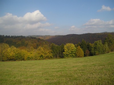 Sovinec, pohled na lokalitu od obce Křivá